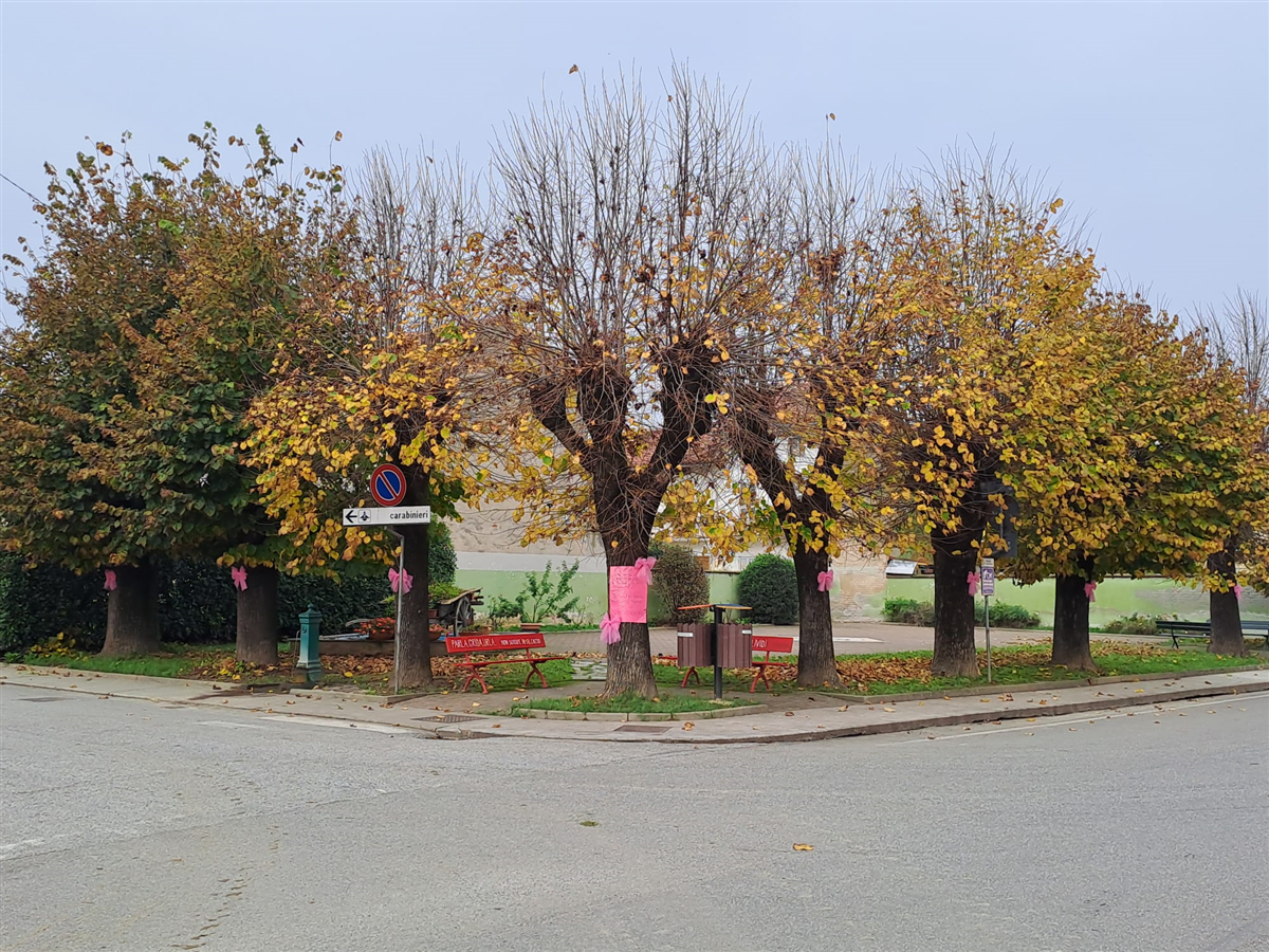 Campagna ANDOS Ottobre Rosa 2024