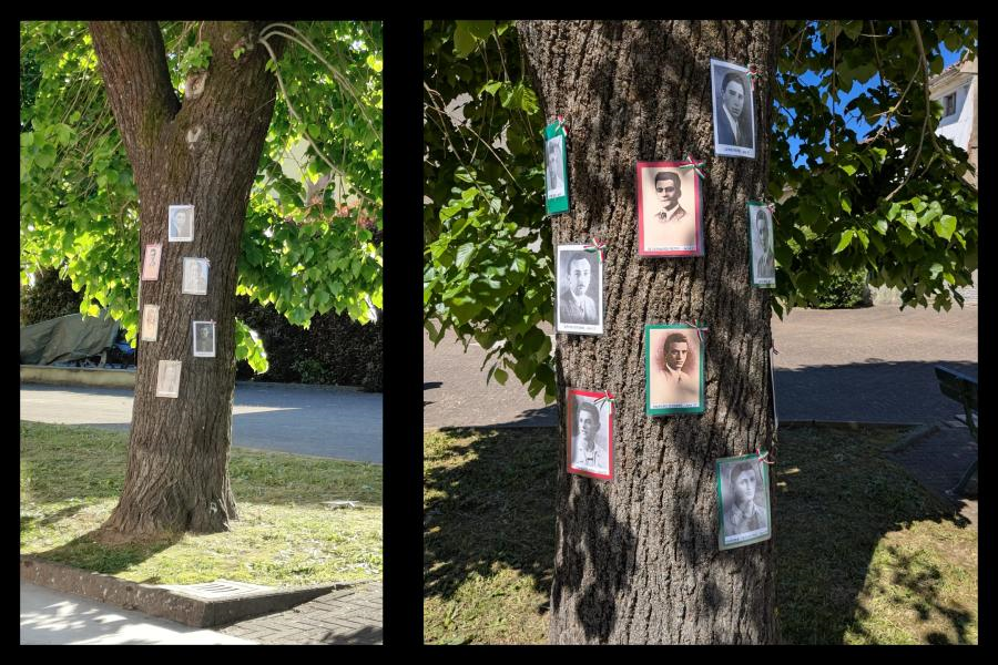 I volti dei 60 partigiani uccisi nel nostro territorio e di 7 Internati Militari di origine monferrina