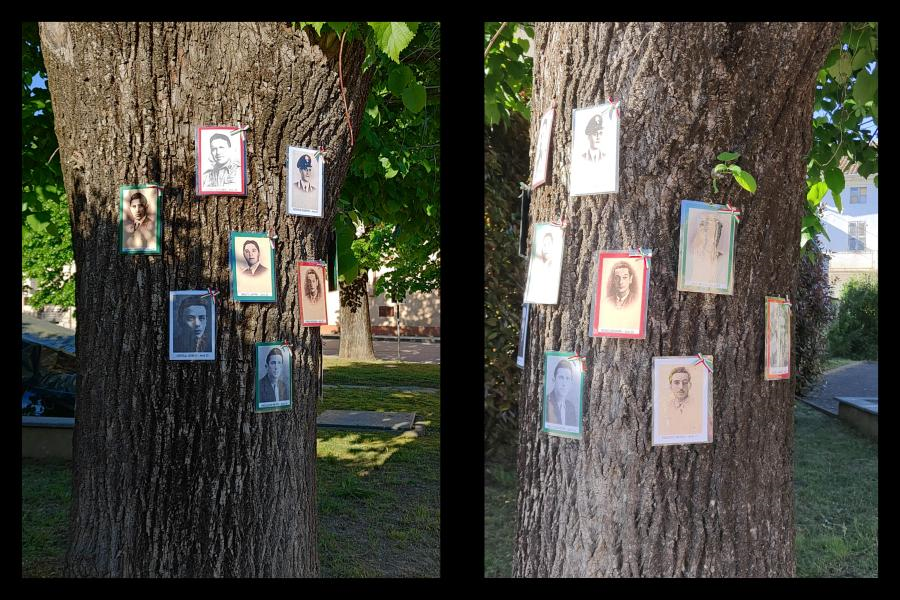 I volti dei 60 partigiani uccisi nel nostro territorio e di 7 Internati Militari di origine monferrina