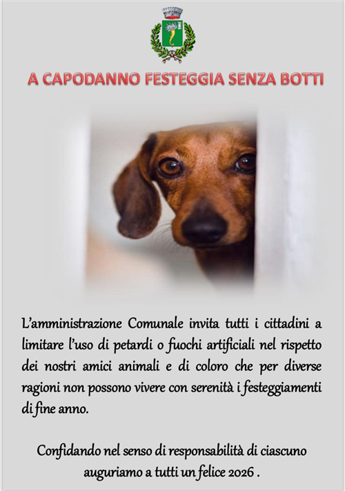 A Capodanno festeggia senza botti